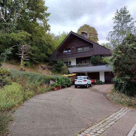 Feldbergsicht Apartment Ленцкирх Екстериор снимка