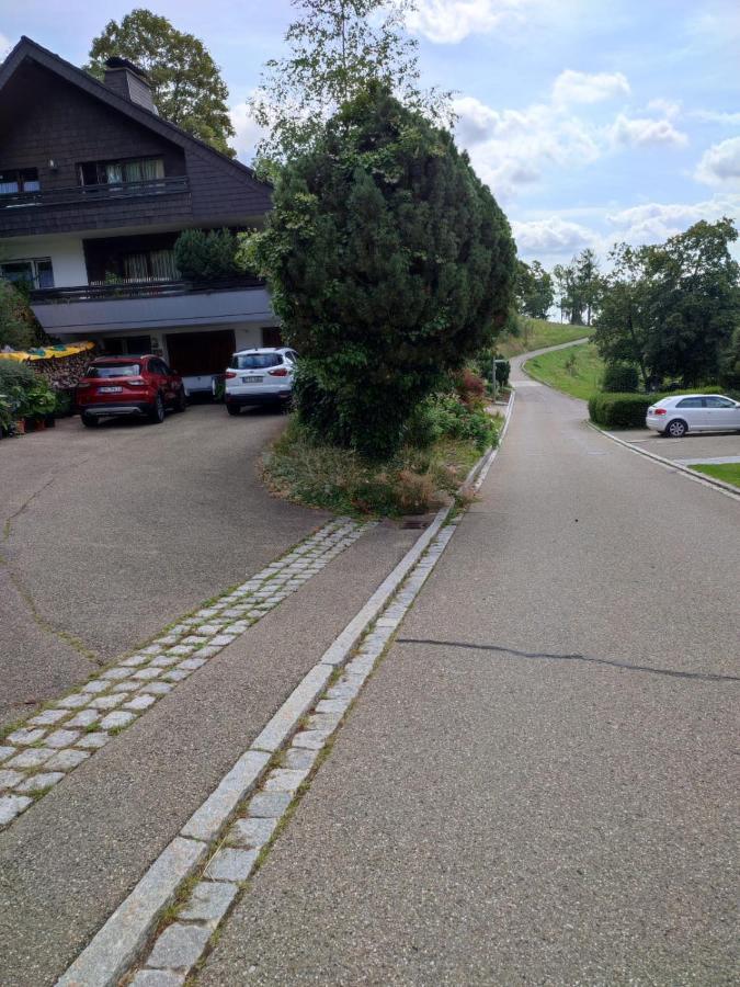 Feldbergsicht Apartment Ленцкирх Екстериор снимка