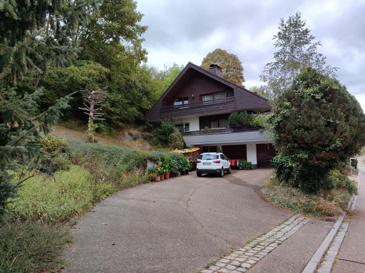 Feldbergsicht Apartment Ленцкирх Екстериор снимка