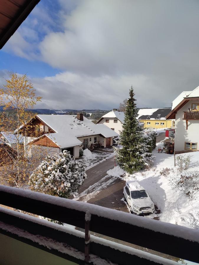 Feldbergsicht Apartment Ленцкирх Екстериор снимка