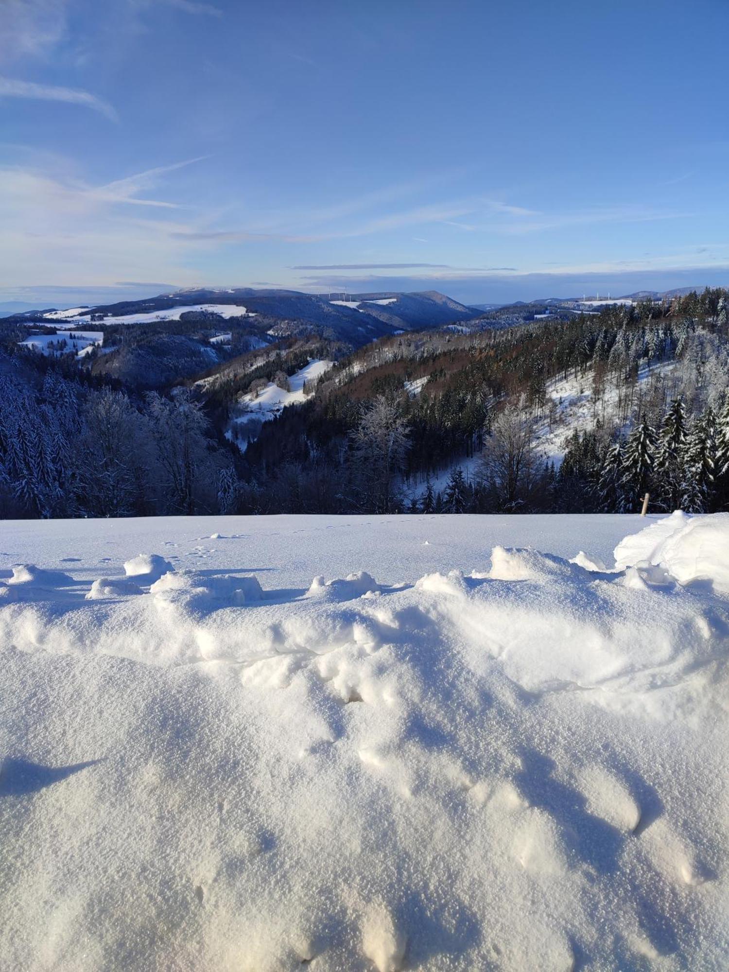 Feldbergsicht Apartment Ленцкирх Екстериор снимка